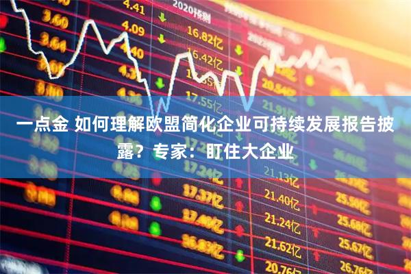 一点金 如何理解欧盟简化企业可持续发展报告披露？专家：盯住大企业