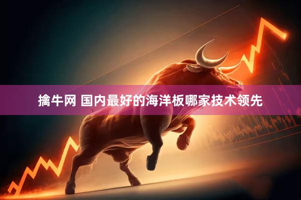 擒牛网 国内最好的海洋板哪家技术领先